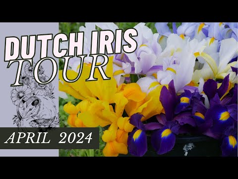 FULL TOUR: 2024