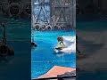 【USJ】ウォーターワールドUniversal Studios Japan Water World
