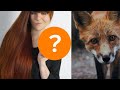 Koniec z Projektem Lis? 🦊 PROJEKT LIS #04