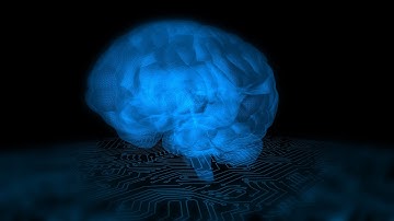 Digital Brain Artificial Intelligence Network