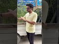 10 Lac Plants | #shorts #foryou #fyp #hammadfoundation #pakistan #hammadtanveer #suggested #trending