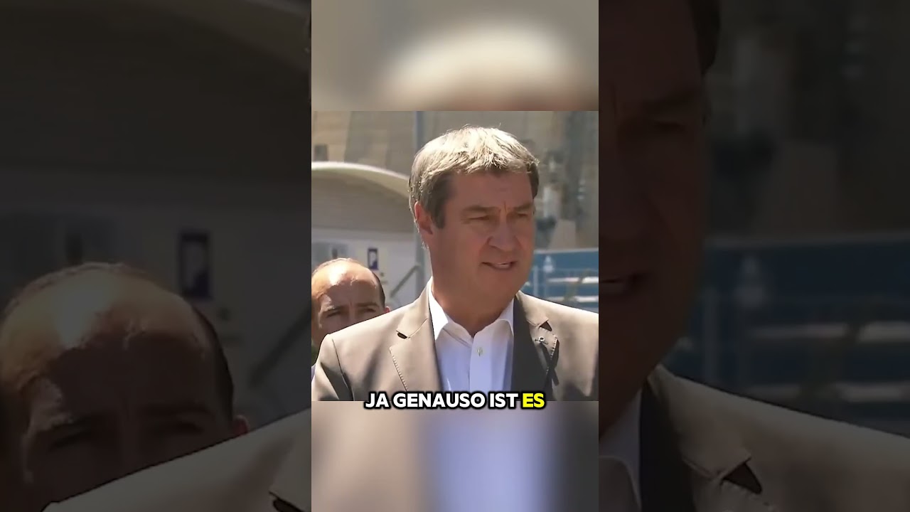 MERZ FALSCHINFORMATION 