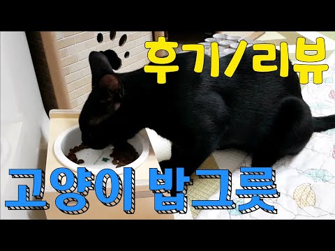 검은 고양이 밥그릇을 바꿨어요!! (가또블랑코 식기) / 먹방 / asmr / 후기 / 리뷰 / cat food / cat bowl / mukbang / cat eating