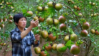 Precious Camellia Oil Grandmas 3 Nourishing Winter Dishes  Braised Duck  Steamed Fish