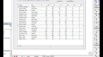CodeRage 7 - Ray Konopka - Effectively Using Raize Components