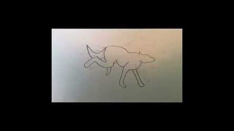 Wolf Run Animation Cycle