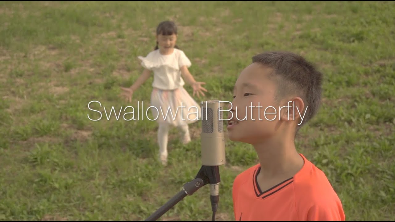 YEN TOWN BAND『Swallowtail Butterfly〜あいのうた』OTOA Ver. - YouTube