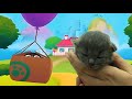 My Talking Tom Baby In Real Life DIY 