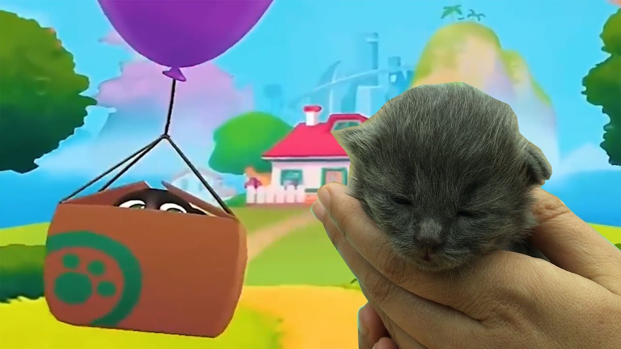 My Talking Tom Baby in real life. DIY