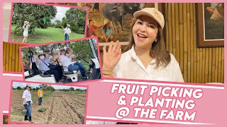 SMALL TRIES 'ARARO' AND FRUIT PICKING AT THE FARM | Small Laude