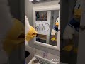 Donald duck boomer