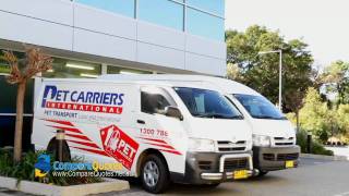 Pet Carriers International Pet Transport Moving Pets Moving Animals Animal Transport