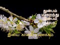 Good morning WhatsApp status video in Tamil ☕☕☕