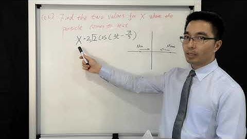 2019 HSC Mathematics Extension 1 Past Paper Question 12