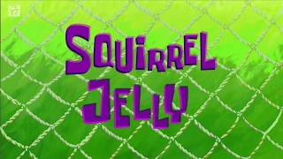 Squirrel Jelly Le Card Hd