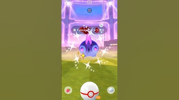 Finally! Got ✨ Shiny Dynamax Squad (Pokemon GO)