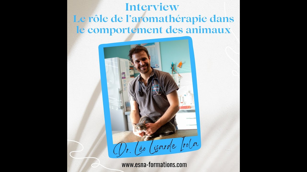 Le rôle de l'aromathérapie dans le comportement animal - Dr Léo Lisarde Irola