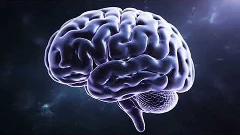 ТОП-7 поразительных фактов о мозге