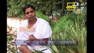 Ayurvedic use Indian Aloe (Ghrutkumari) Part  01