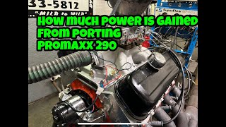 What Did The Ported Promaxx 290 Heads Do On The Dyno