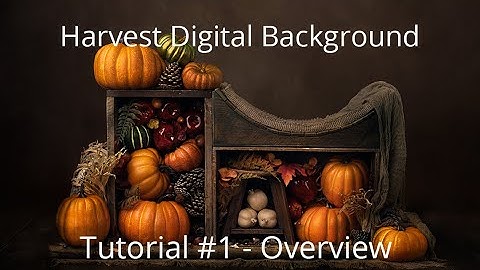 Harvest Digital Background tutorial video 1