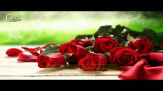 Sahi̇ Ya Ne Oldu Bi̇ze - Enes Aykul