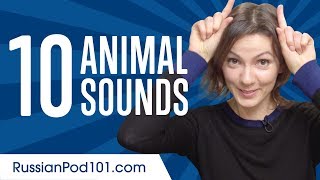 Learn the Top 10 Animal Sounds in Russian - YouTube