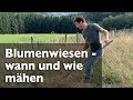 Blumenwiesen wann und wie mähen?