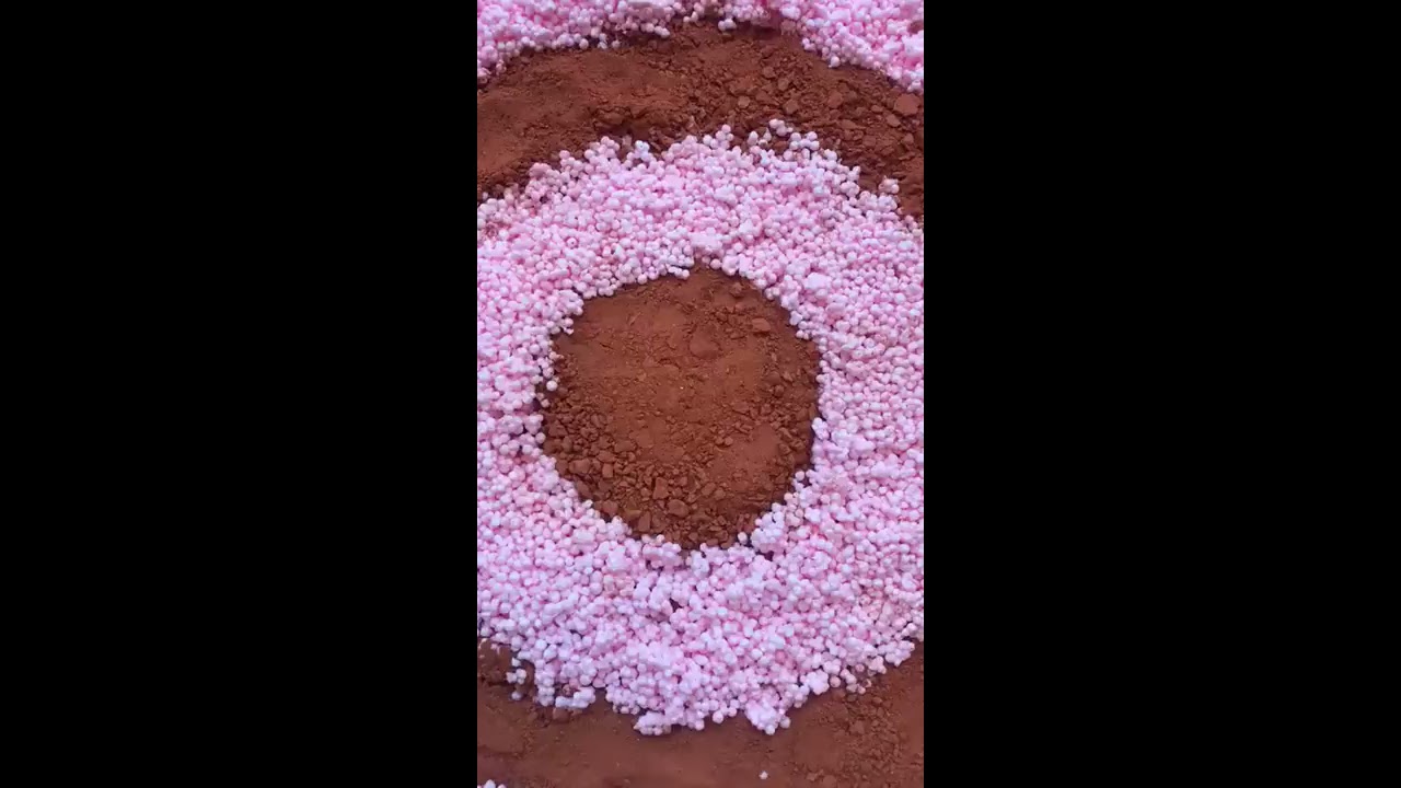 Cecilia Miranda "A quien corresponda"