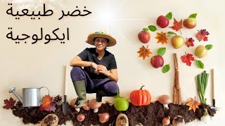 جولة في حديقة الخضروات لشهر مارس/visite au  potager du mois de mars