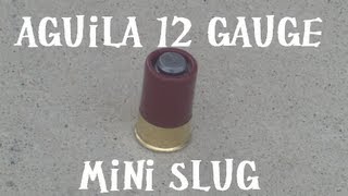Aguila 12 Gauge Mini Slugs (Remington 870 Cycle Test)