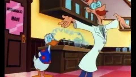 Nokkapokka (Quack Pack) - C Pakteeri (Finnish)