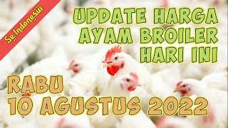 Harga Ayam Broiler Hidup Terbaru Minggu 3 April 2022. 