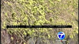 Allergy season hits fever pitch in New Mexico