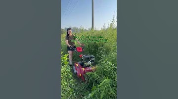 Máy cắt cỏ trục băm chạy động cơ xăng 7.5HP. L/h zalo: 0984931328 #maycatcotrucbam #maynongnghiep