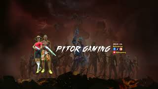 Pitor Gaming Live Stream