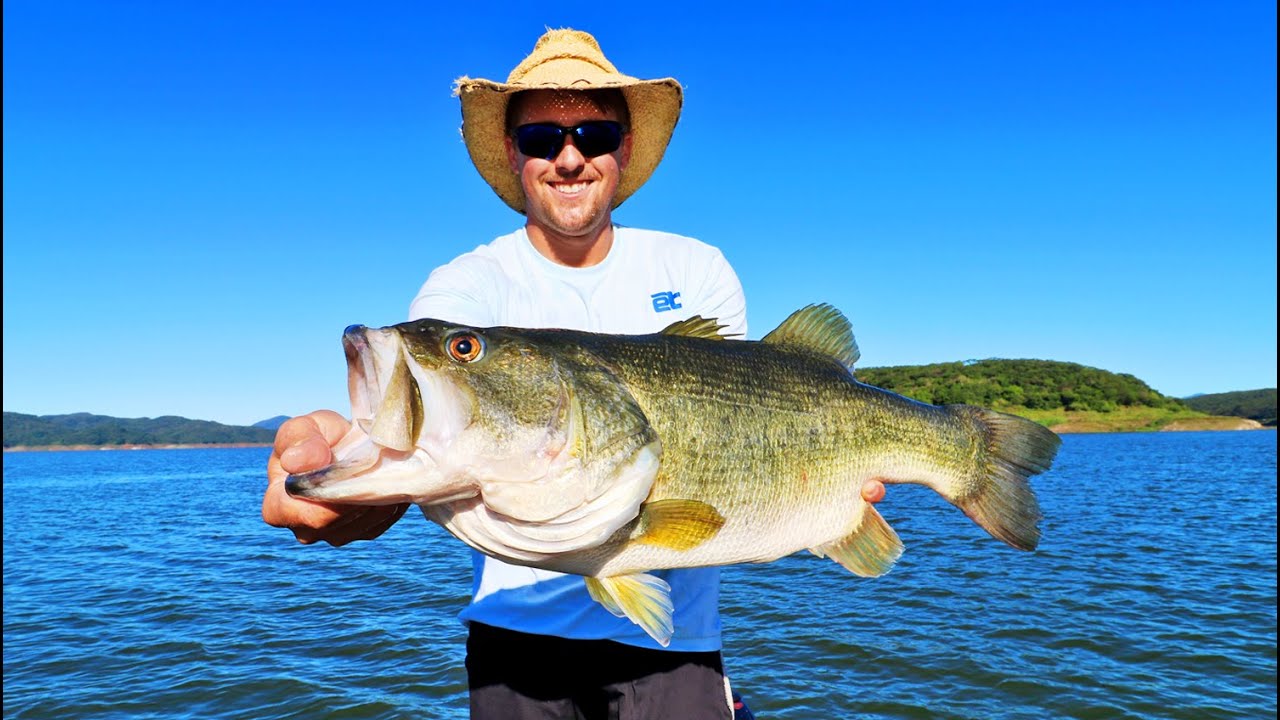 MASSIVE Mexico Bass - Lake Comedero Fishing! El Papachal Lodge - YouTube