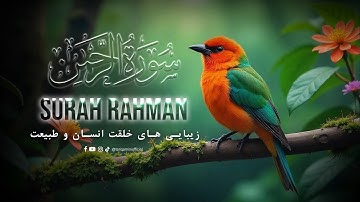 زیبایی های خلقت انسان وطبیعت 🫀🎧 - تلاوت دلنشین سوره الرحمن 🥺❤️ - Surah Rahman