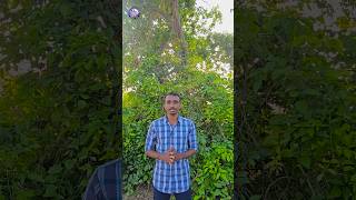 தவ கபம Gods Anger Yesuveh Aathaaram Nesarudan