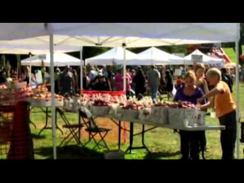 Mill Neck Manor School for the Deaf Apple Festival
