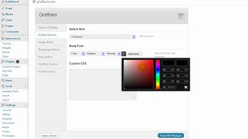 Graffiare Wp Theme Option Panel Overview