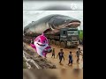 سمكه قرش Cartoon ماشاوالدب Funny البيتا Animation اعتني كرتوناطفال Comedy الجيلي سمكه قرش Cartoon ماشاوالدب Funny البيتا Animation اعتني كرتوناطفال Comedy الجيلي