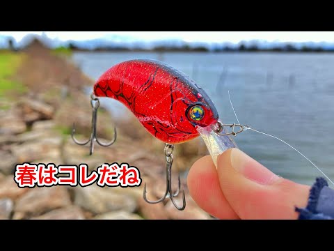 【檸檬♪ページ】 「珀の昇天」　「いつも一緒」　「釣りに行こう！」 バス釣り】8月スタート❗️ノーフッキング 瀬田川 琵琶湖 - YouTube