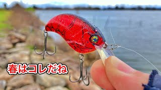 【檸檬♪ページ】 「珀の昇天」　「いつも一緒」　「釣りに行こう！」 Barbed Fishing] I went to Hotoketani during the Obon