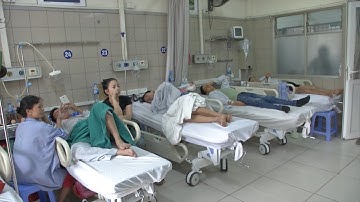 Nguy cơ ngộ độc thực phẩm gia tăng trong thời tiết nắng nóng