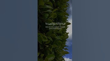 #قرآن #قران_كريم #عبدالرحمن_مسعد #تلاوة_خاشعة #اذكرو_الله #اكسبلور #duet #لايك