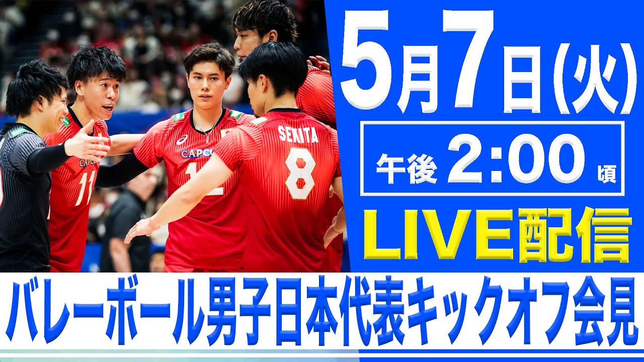 バレーボール代表 男子 ファイル エラ
