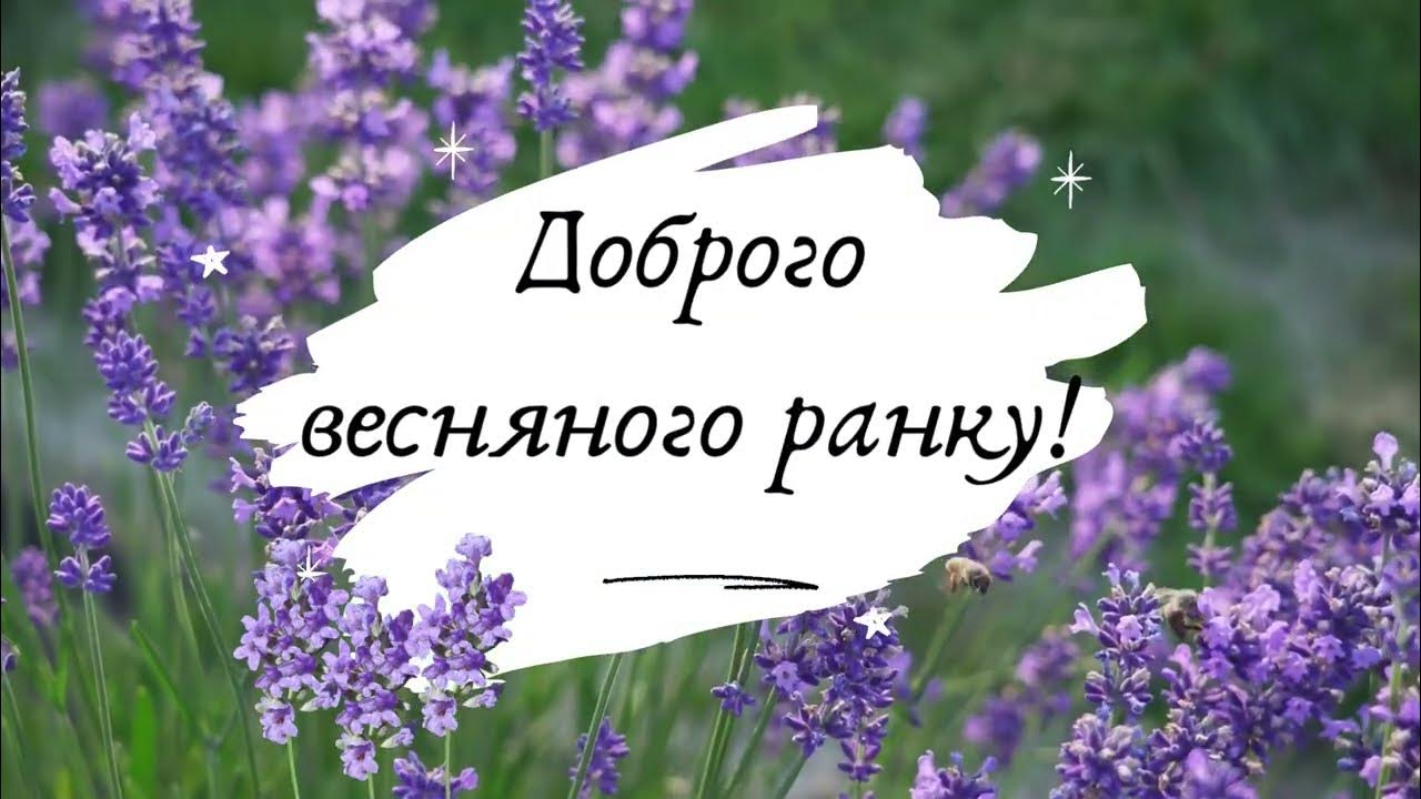 Весняного ранку картинки українською мовою. Весняные квити. Доброго весняного ранку