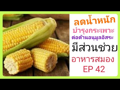 กินข้าวโพดวันละ 1 ฝัก บำรุงกระเพาะ ลดความอ้วน อื่นๆอีกเพียบ อาหารสมอง ep 42