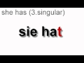 Conjugation of the verb haben (to have got) in german